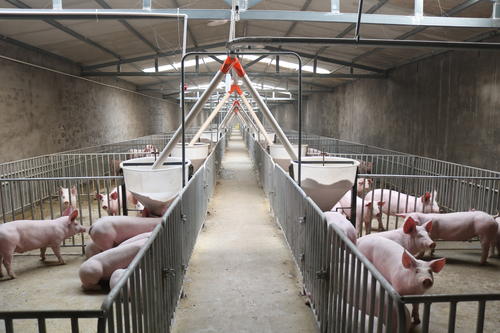 養豬廠廢水怎么處理？-樂中環保