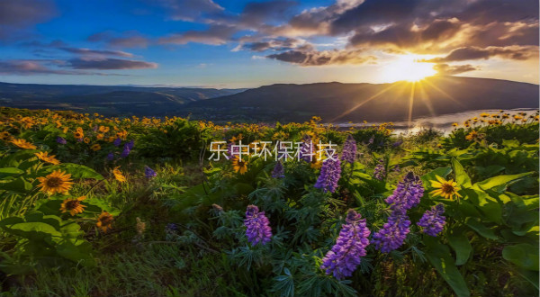 污水處理廠活性污泥法日常管理中，需要監(jiān)測與注意的參數(shù)-樂中環(huán)保