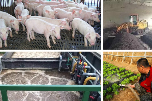 養(yǎng)殖污水處理一體設(shè)備多少錢？養(yǎng)殖污水處理方法