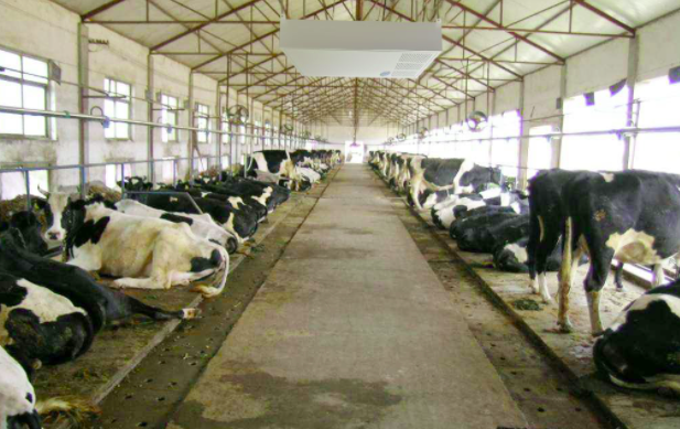 養(yǎng)殖屠宰污水處理設備使用前，要注意這兩點！01