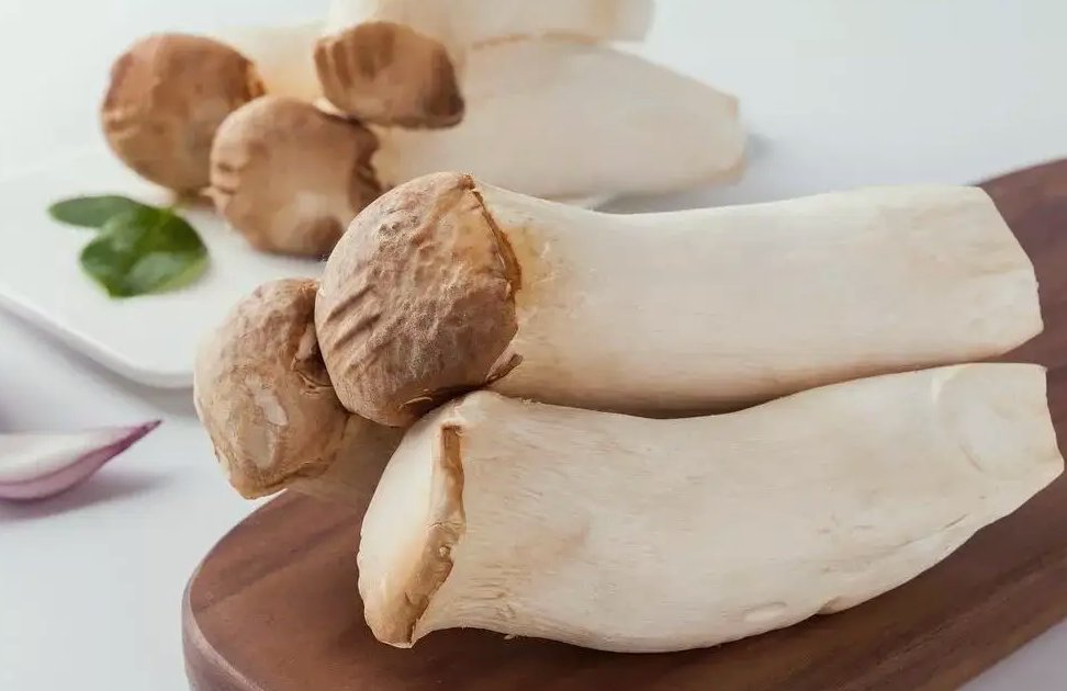 杏鮑菇生產加工廢水排放流程|設備|廢水排放標準 杏鮑菇生產加工廢水排放流程|設備|廢水排放標準