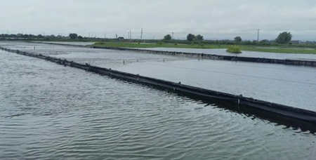 水產養殖尾水處理原理及方法講解（尾水處理設備用途）